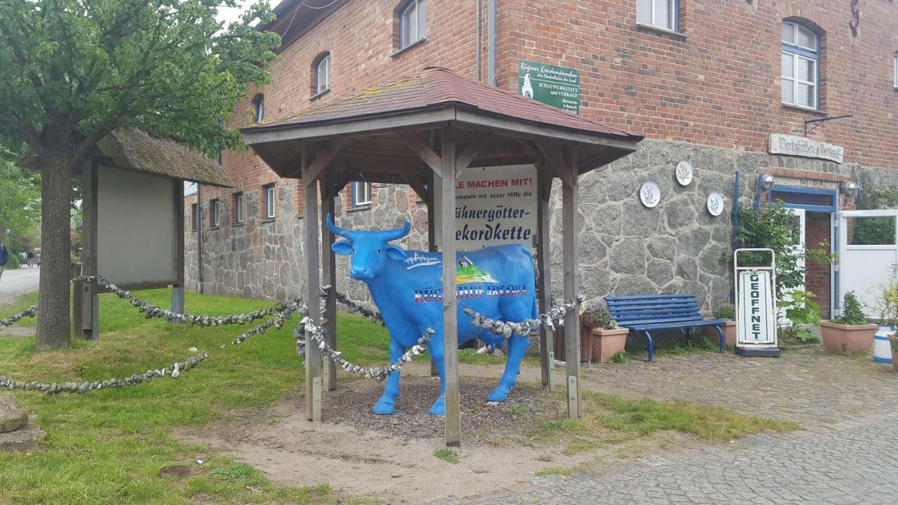 Finja 25 Ferienwohnung Putgarten Kap Arkona Rügen Exterior foto