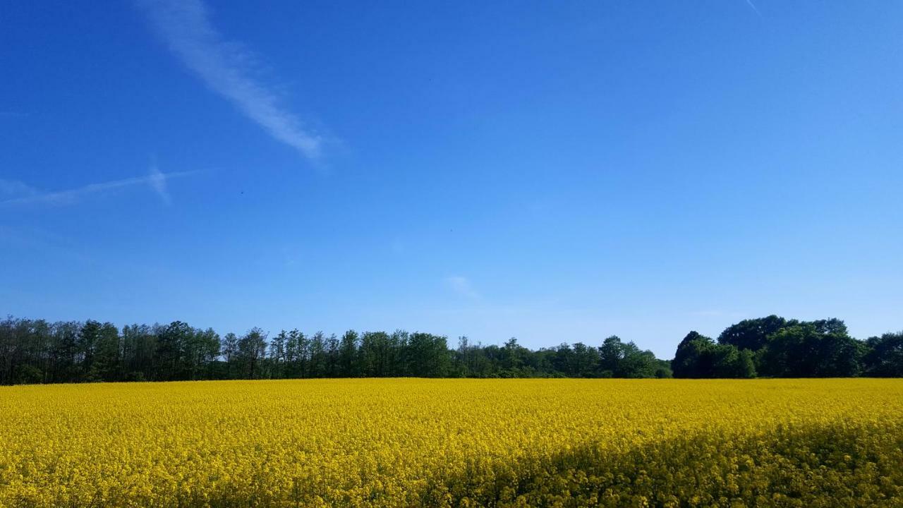 Finja 25 Ferienwohnung Putgarten Kap Arkona Rügen Exterior foto